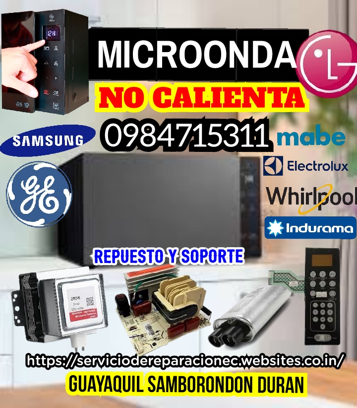Reparación de Microondas